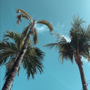 THREE SHOE BUNDLE BOX